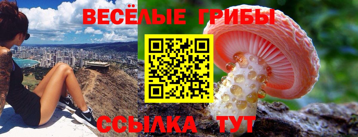 Псилоцибиновые грибы ЛСД Топки