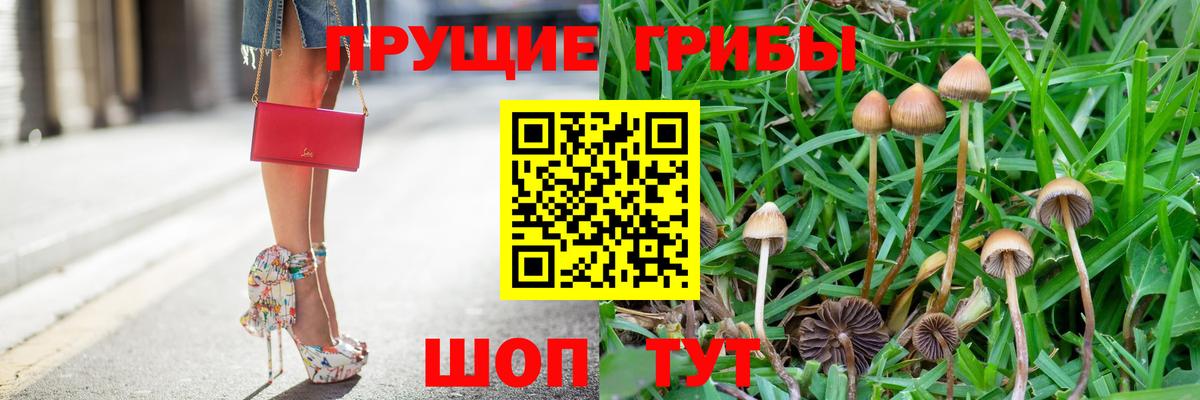 Псилоцибиновые грибы Psilocybe  Вход с VPN  Топки 
